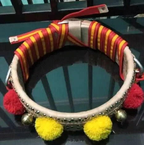 GONGSENG/KALUNG DOMBA Full kulit