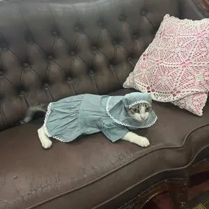 Baju Kucing Cewek Lucu Gemoy Murah Aksesoris Hewan Peliharaan - Bukipet Raya Collection Gamis 2026