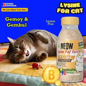 Vitamin Penggemuk dan Pelebat Bulu Kucing Anti Rontok Pets Lysine FEFARM