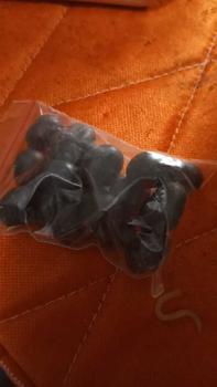 Product Review of isi 20 Biji Bunga Lotus Teratai Mini Jepang, Kualitas Biji Unggul untuk Pertumbuhan Optimal Bunga Tanaman Alami Benih from Y**k N**a 0