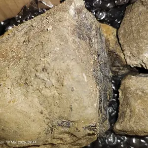 NATURAL OPAL WOOD BLACK OPAL SPESIAL RAMADHAN