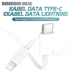Borobudur Holog -Fast Charger For iPhone 20W 35W + Kabel Type-C/Lightning - Charging Aman & Cepat, Baterai Tetap Awet For iPhone 8-17 Pro Max