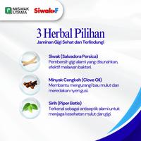 Gambar Siwak-F Pasta Gigi Halal Sensitive 120 gr Formula Khusus Untuk Gigi Sensitif Mengandung Silica Rendah Abrasi Dan Daun Mint Khusus untuk Perawatan Gigi yang Mudah Ngilu atau Sensitif dari SIWAK F Kota Surabaya 5 Tokopedia