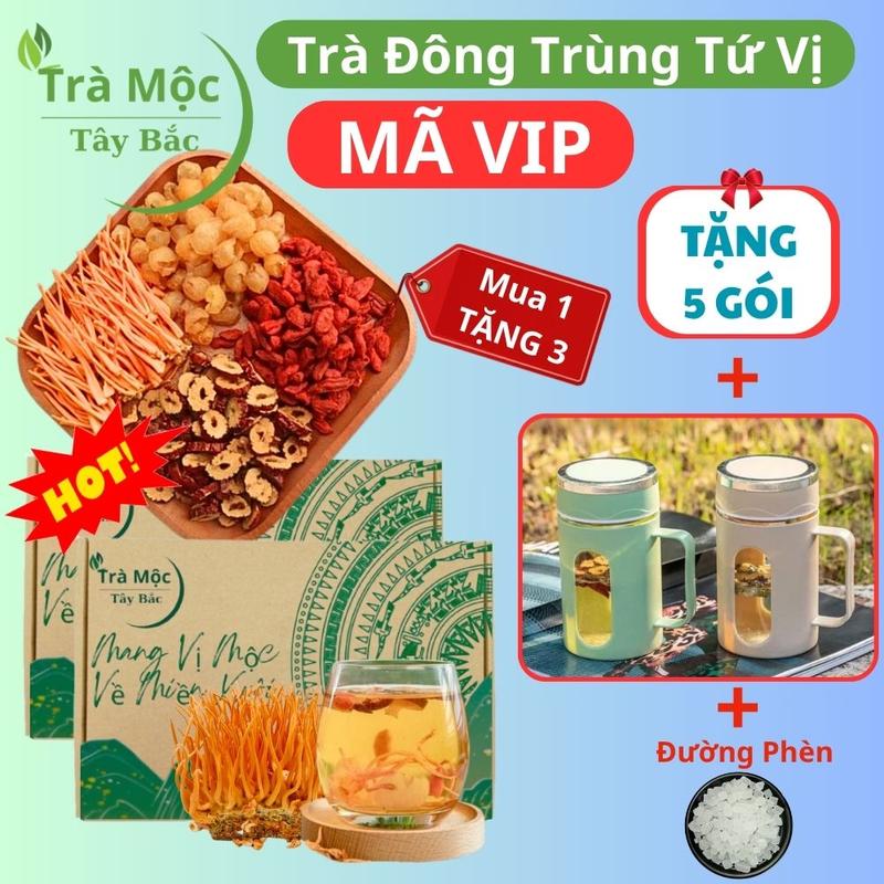 [Loại 1 - Tặng 5 Gói - Tặng Ca + Đường Phèn]Trà Đông Trùng Hạ Thảo 30 Gói Tứ Vị Tự Nhiên – Táo Đỏ, Kỷ Tử, Long Nhãn, Sợi Đông Trùng Sấy Lạnh – Thơm Dễ Uống, Dưỡng Thân Hằng Ngày – Trà Mộc Tây Bắc