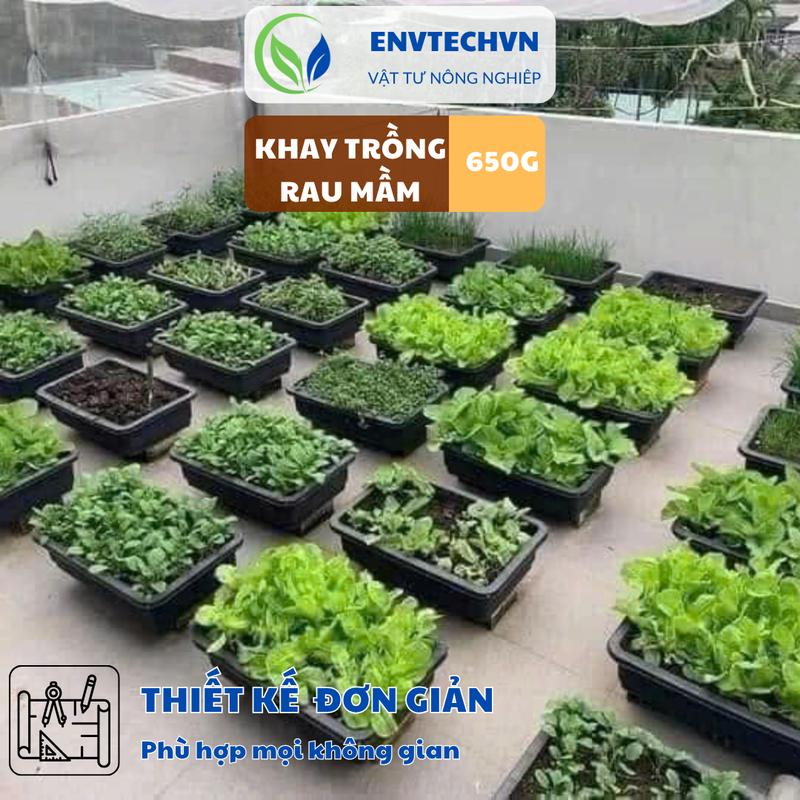  Combo 5 Khay Nhựa Trồng Rau Mầm Loại Đẹp Xanh 50x36x10cm - Sản Phẩm Trồng Rau Mầm Tại Nhà 