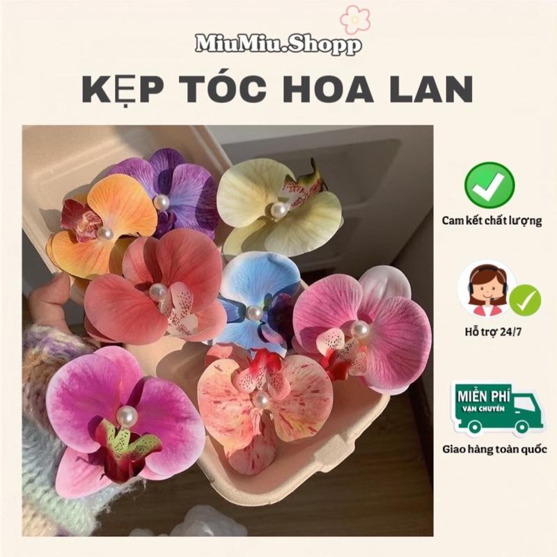 [HÀNG SẴN] Kẹp tóc hoa lan, kẹp mái xinh xắn đáng yêu dành cho nữ, phụ kiện tóc xinh, cài đầu đi biển, phụ kiện thời trang,..