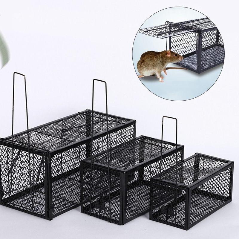 Mouse Trap Cage/ Rat Trap Cage/ Perangkap Tikus - TikTok Shop Malaysia