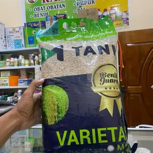 Benih Padi M70D Bersertifikat 5KG - Panen 80 Hari EXP 25 JULI 2026