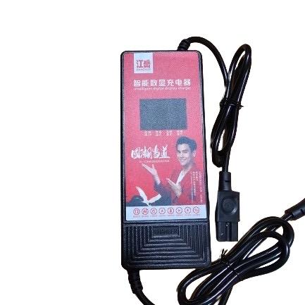 Sạc xe điện 60v - 20ah chính hàng chất lượng cao 2