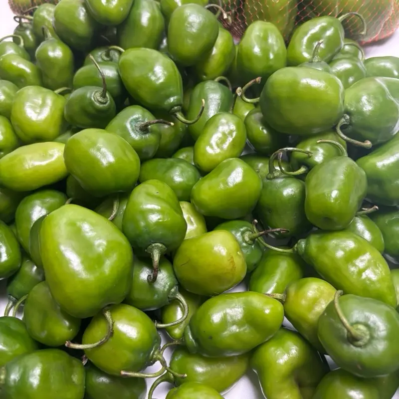 spesial caramel x Afresh cabe gendot segar 3