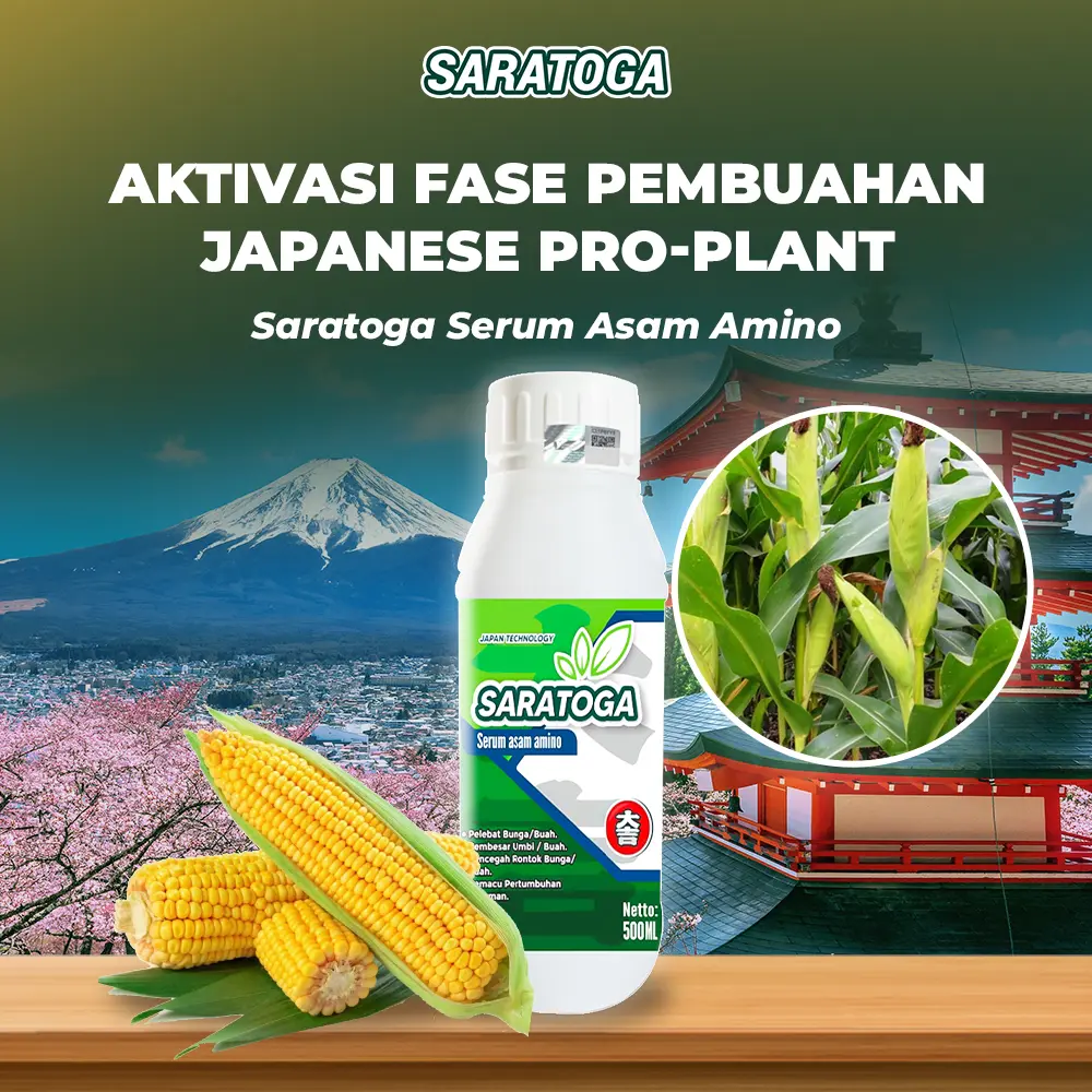 Saratoga Serum Asam Amino Jagung Japanese Pro-Plant Aktivasi Fase Pembuahan Lebih Optimal