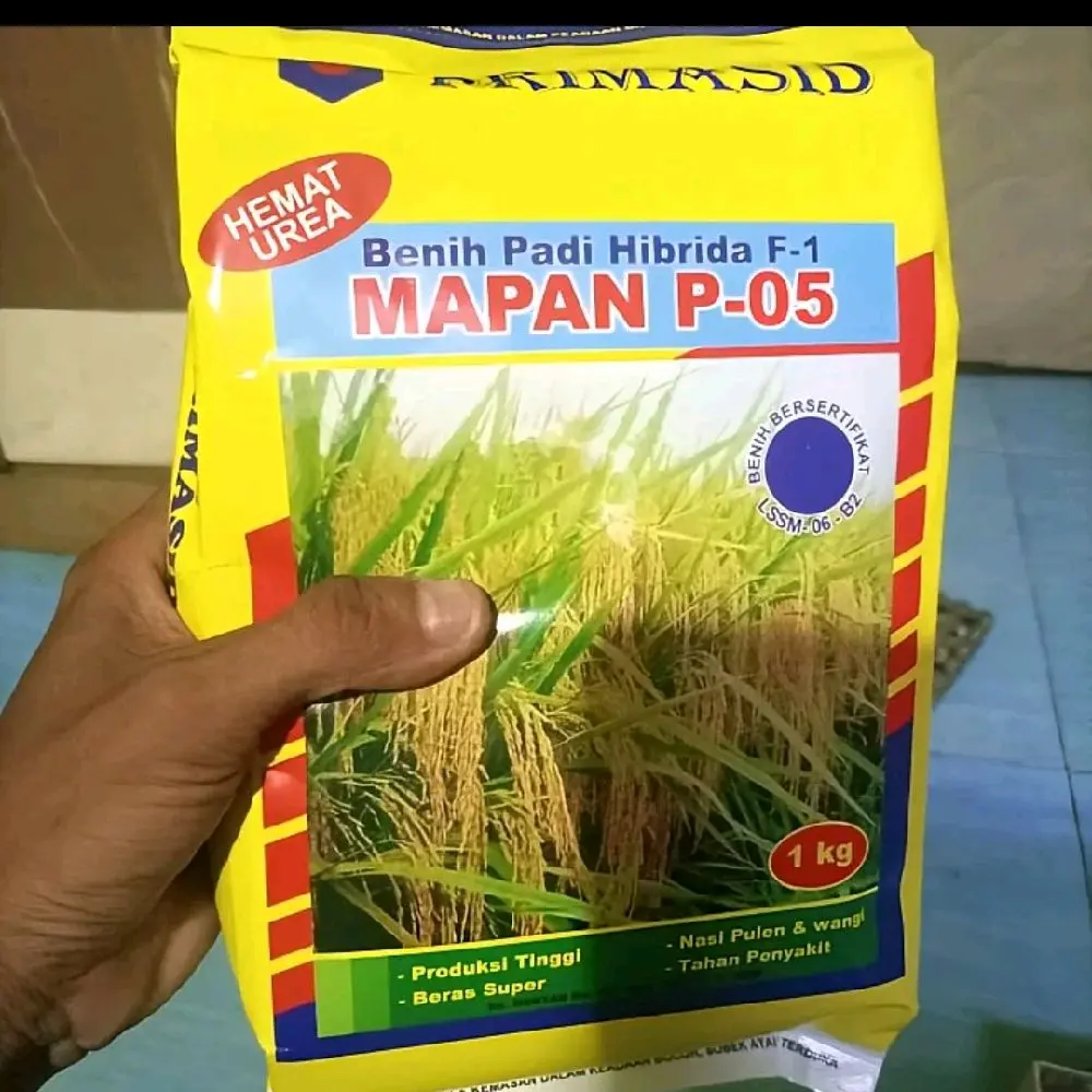 (1KG) Benih Padi Hibrida F1 Mapan P 05 Original 100% pilihan petani sukses bibit