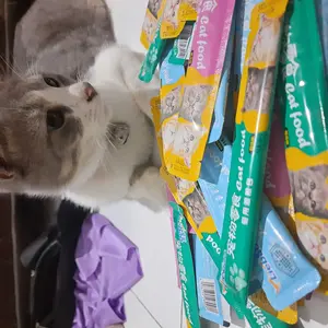 (1 BIJI) Cemilan Kucing Snack Kucing 15g Makanan Kucing Cat Food Adult Kitten Liebao Aichongrenjia Meow Little Fat Pet Snack Pet Food Cat Strips
