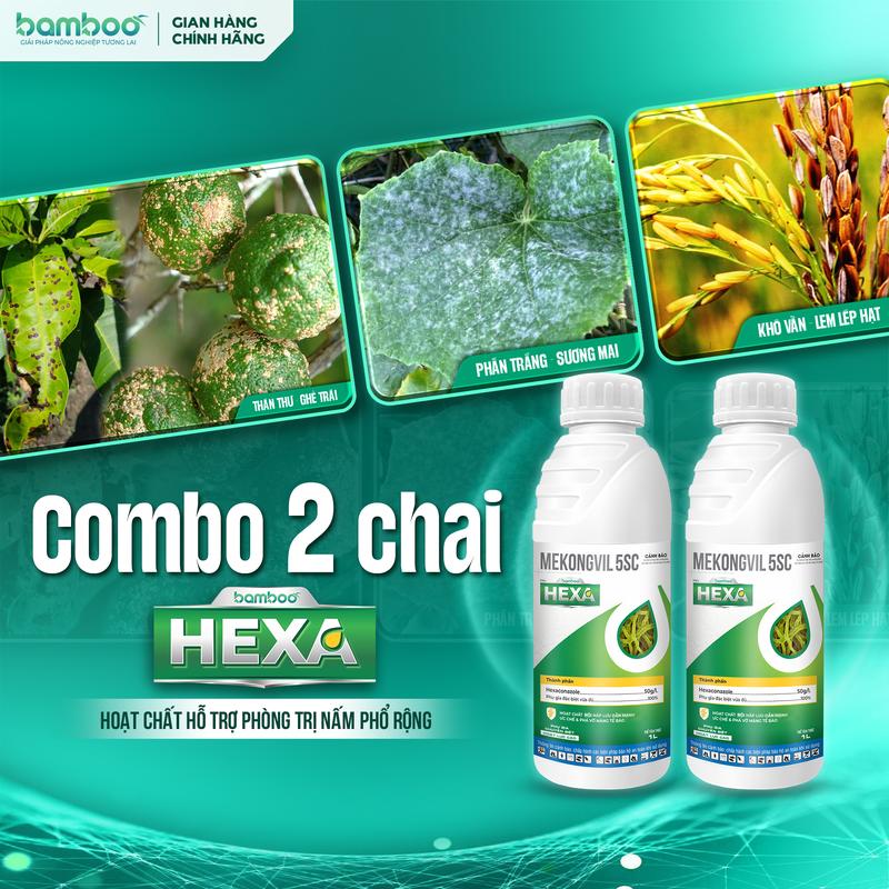  2 CHAI BAMBOO HEXA 5SC - Thành phần HEXACONAZOLE  phân bón lá  - Hỗ trợ quản lý các bệnh do nấm  chai 1L  