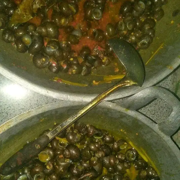 Tutut mentah Per literan sudah direbus/Bekicot/tutut/sefood/ Siap masak cocok buat menjaga kesehatan /penyakit liper dan penyakit lainnya enak gurih nikmat 2