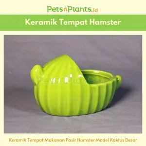PnP Keramik Import Tempat Mandi Pasir Hamster Model Kaktus Besar