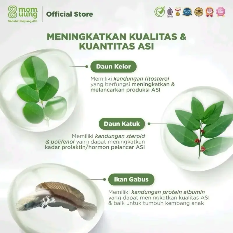 MOM UUNG ASI BOOSTER PELANCAR ASI SEJUTA UMAT 4