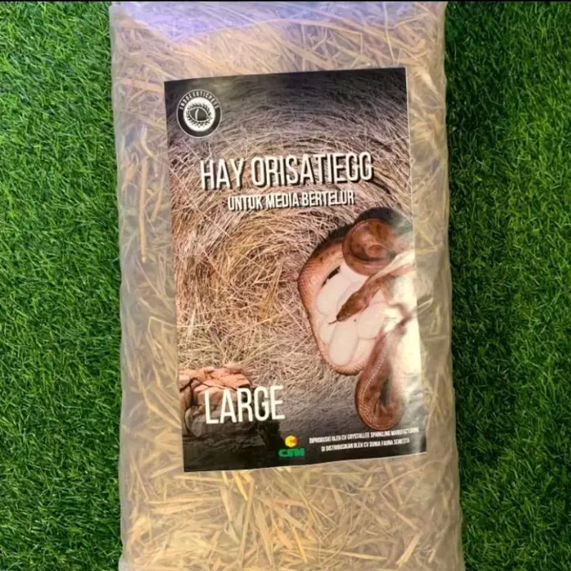 Hay Orisatiegg(alas ular,alas reptil bertelur) by indoexoticpets 0