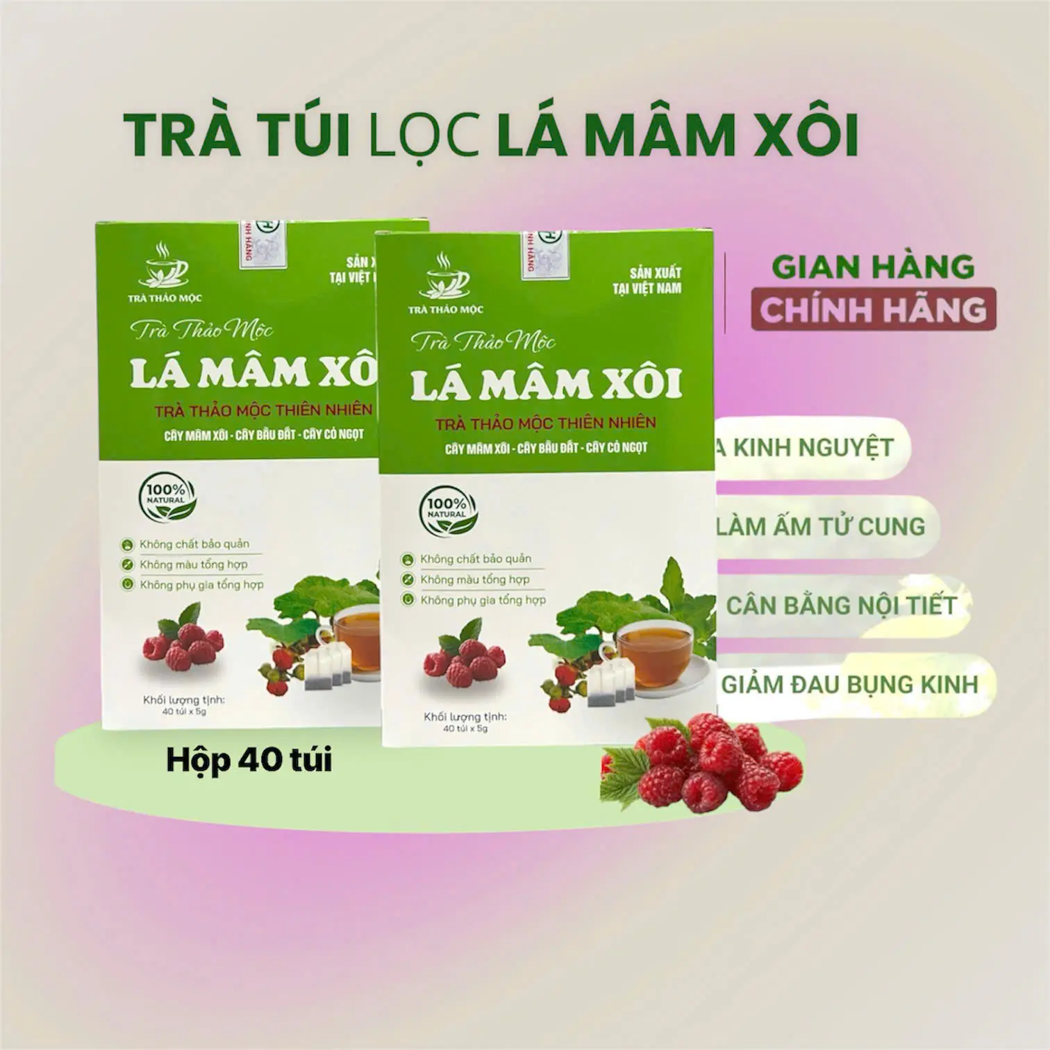 Trà Túi Lọc Lá Mâm Xôi Rừng Tự Nhiên
