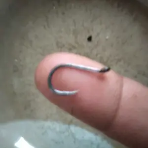 MATA KAIL OBAMA CHINU RING 1053 BOX Pancing