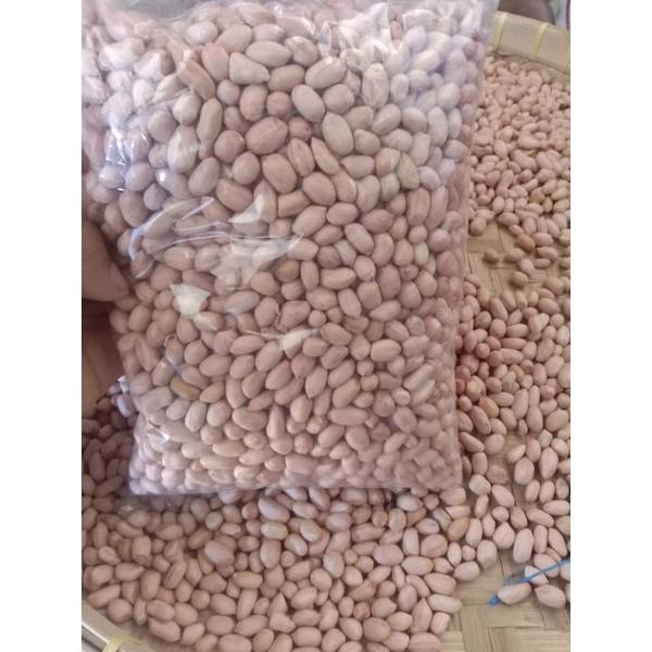 500gram bibit benih kacang tanah super//kacang tanah super cepat tumbuh Tanaman 5