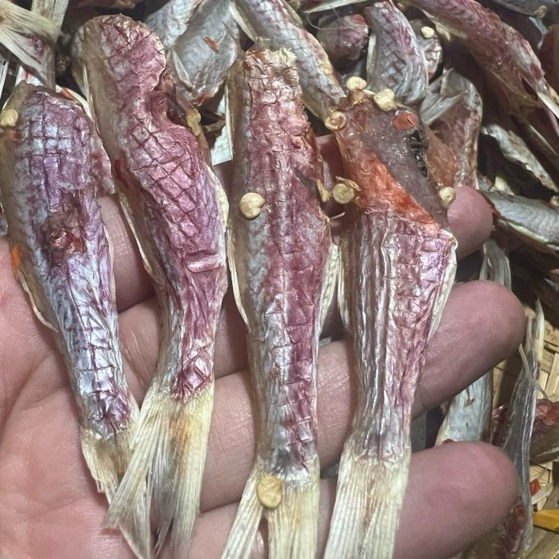 cá khô phèn mini nhỏ bằng ngón tay út Cá khô phèn non nguyên con sóc tỏi ớt vị vừa ăn chiên nướng kho tiêu