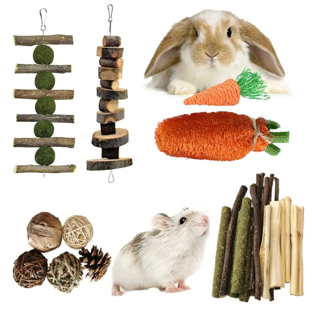 6/9/12/16/20PCS New Natural Wood Pet Supply Small Animal Teeth Clean Pet Teeth Care Training Toys Chew Toys Set