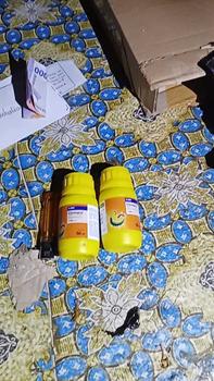 Product Review of INSEKTISIDA - CIMEGRA 50 ML BASF from b**o 0