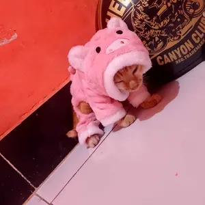 baju dinosaurus - baju hoodie pakaian hewan kucing anjing baju kucing baju anjing baju  kucing