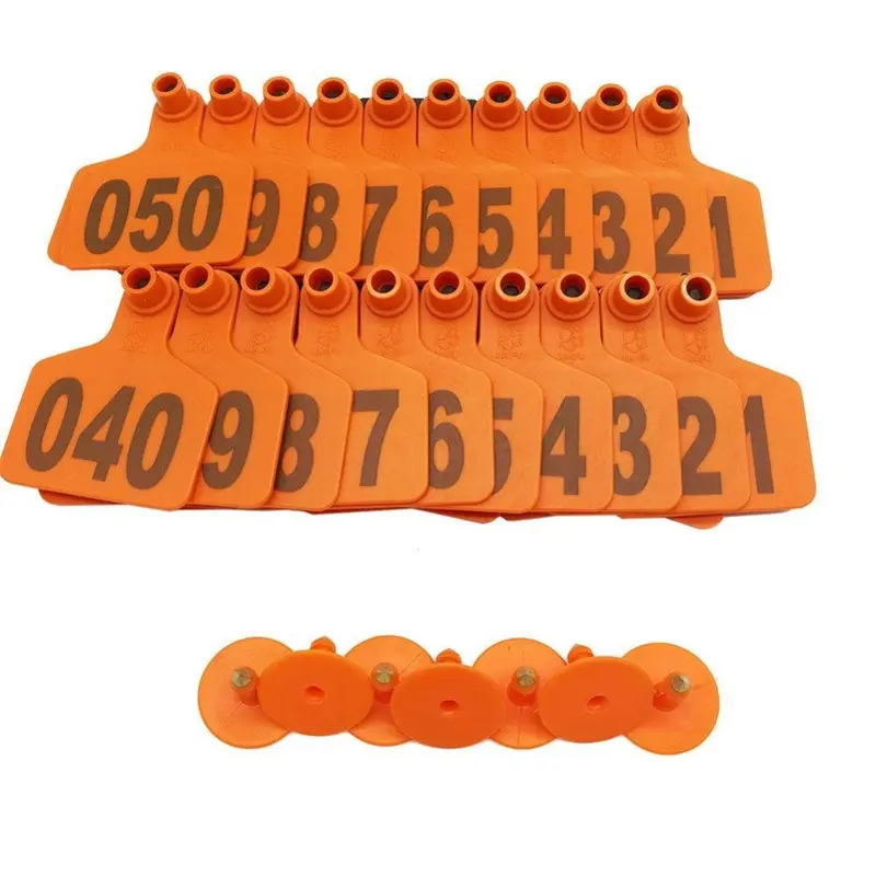 Eartag 5x4cm Blank Sapi Domba Kambing Neck Tag Kalung Ternak, Ear Tag Anting Ternak COMEL PETSHOP 4