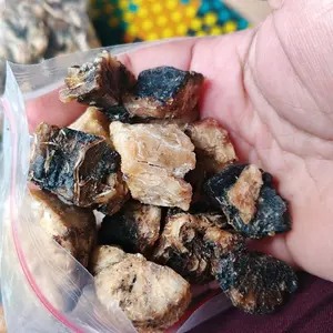 Gatot singkong instans kenyil kenyil khas malang