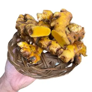 Bangle/bengle segar 500gram