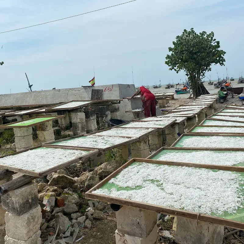 TERI NASI MEDAN KEMASAN 1 Kg Asin 7