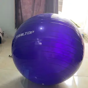 [READY] TrailTop Gym Ball Free Pompa Gym Ball Ibu Hamil 65/75cm Bola Yoga Alat Olahraga Otot Gymball