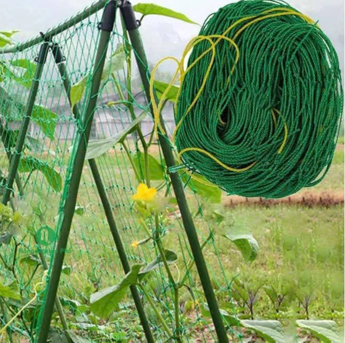 Lưới làm giàn leo màu xanh lá mắt lưới 10x10cm - Loại khổ lưới đa dạng 3