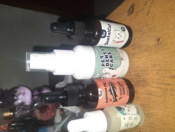 Product Review of Golden Paw - DentalCat Obat Tetes Mulut Kucing Sariawan Radang Bau Mulut dan Pembersih Plak Karang Gigi Hewan 20ml from f**a 2