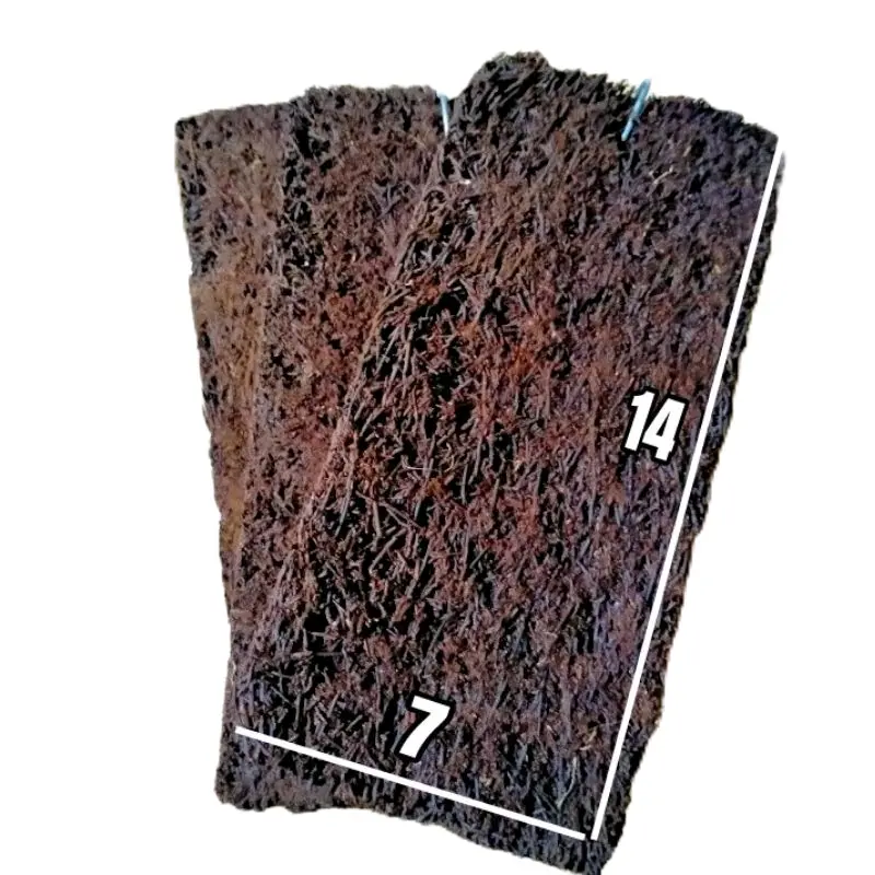 Papan Pakis 14x7 cm media tanam anggrek