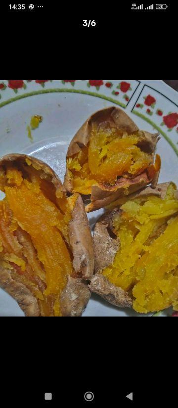 Ubi Cilembu Ares Isi 15-20 Biji Rasa Manis Khas Unik dan Istimewa Cocok untuk Pencinta Ubi Manis