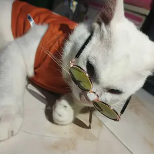 Kacamata Hewan Peliharaan Kacamata Model Kucing Anjing
