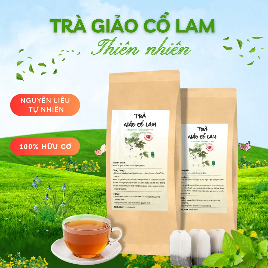Trà Giảo Cổ Lam Túi Lọc Gợi Ý Từ Thiên Nhiên Hỗ Trợ Ổn Định Đường Huyết Huyết Áp Trà túi lọc