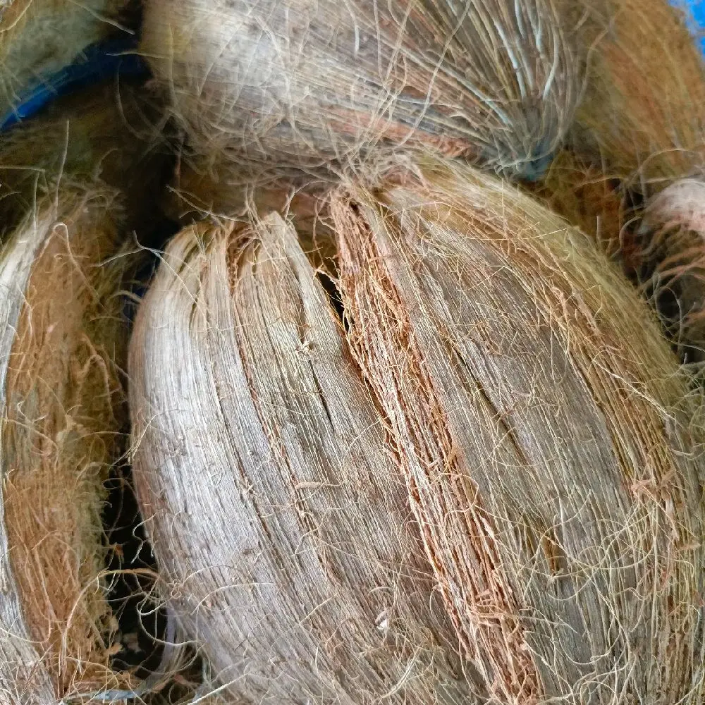 kulit kelapa kupas media tanam angrek,sabut kelapa /pcs