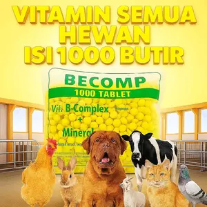 VITAMIN HEWAN ORIGINAL BESAR DAN KECIL BURUNG UNGGAS ISI 1000 BUTIR MENYEHATKAN DAN MENJAGA IMUN TUBUH