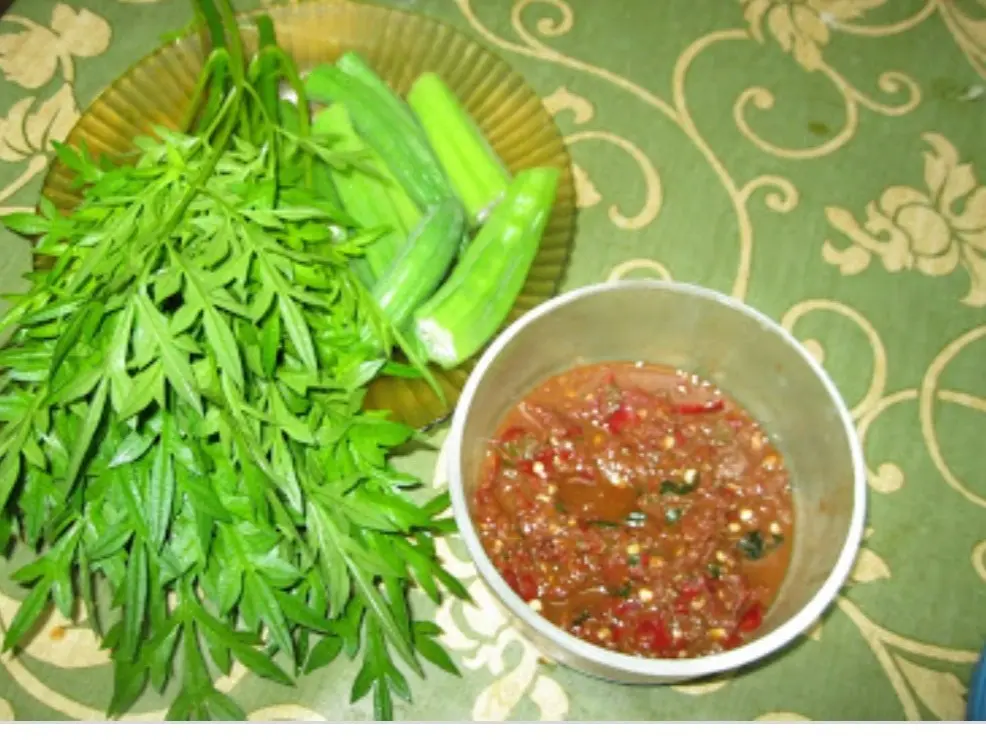 Benih Segar Ulam Raja 150 pcs dari Ladang Sendiri (Benih Baru Dituai) - Pot, Flower