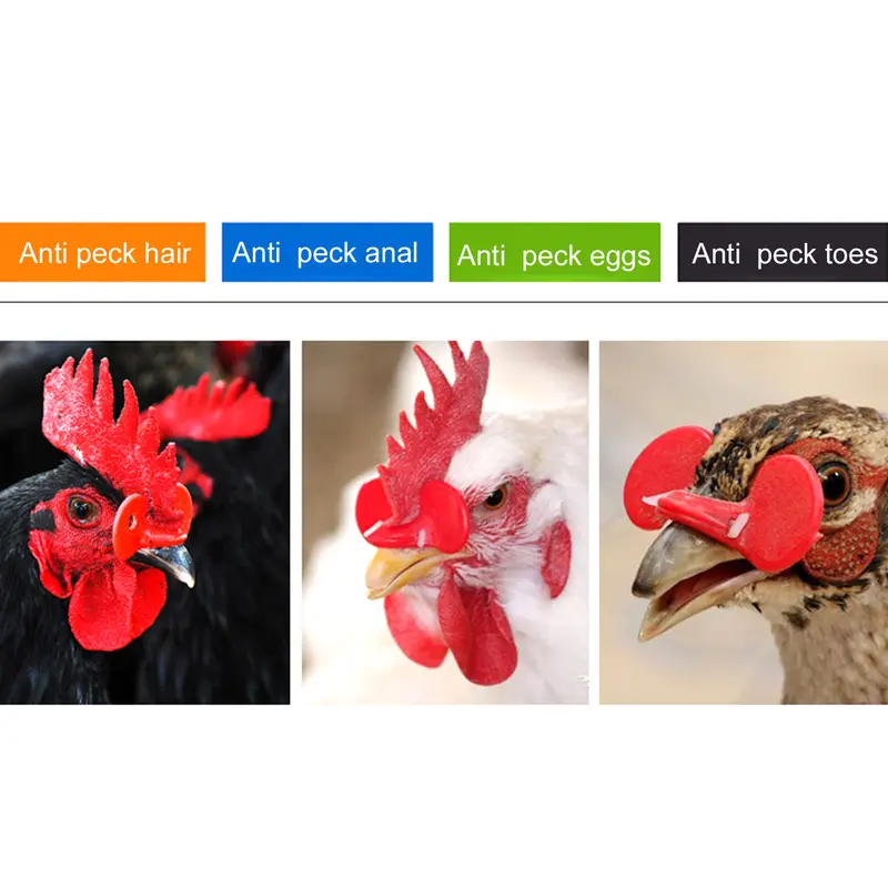 50pcs Kacamata Ayam Anti-pecking Goggles Chicken Glasses Farm Equipment Chicken Glasses Kaca Mata Ayam Kacamata Ayam 5