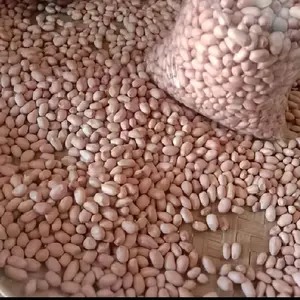 kacang tanah super 1kg, super jumbo