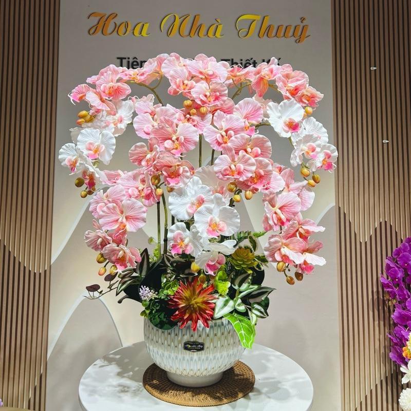   Mẫu 2025 - 10c5D  Chậu hoa lan cao su cánh ướt phủ 5D cao cấp Chậu sứ nhập cao cấp Hoa giả trang trí nhà Trang Trí Nhà l Hoa cắm sẵn 