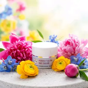 PrinZelle Skincare Perfect Glow Day Cream With UV Filter Perawatan Wajah