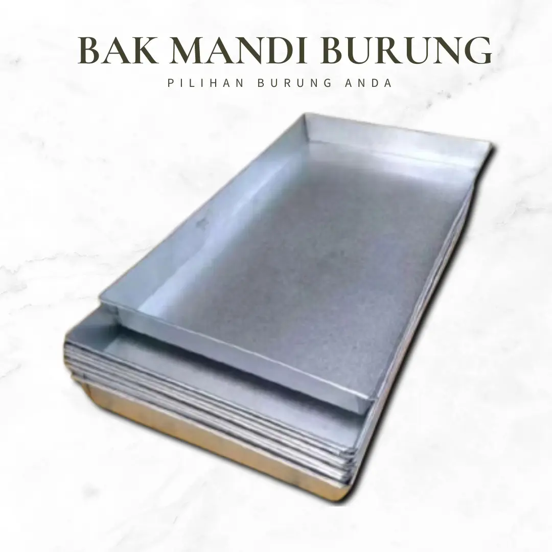 Bak Keramba Mandi Burung Galvanis Anti Karat 52x33cm Tinggi 5cm
