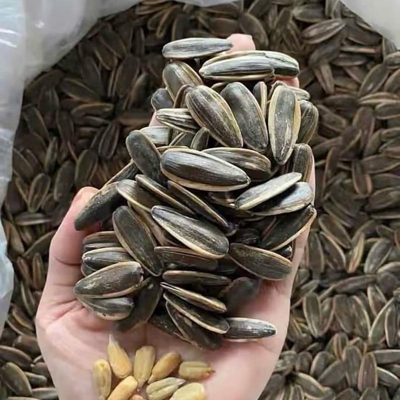Vụ Mới 2KG Hướng Dương Vị Sữa Dừa Hạt To Mẩy Thơm Ngon- Huệ Huệ Tân Cương