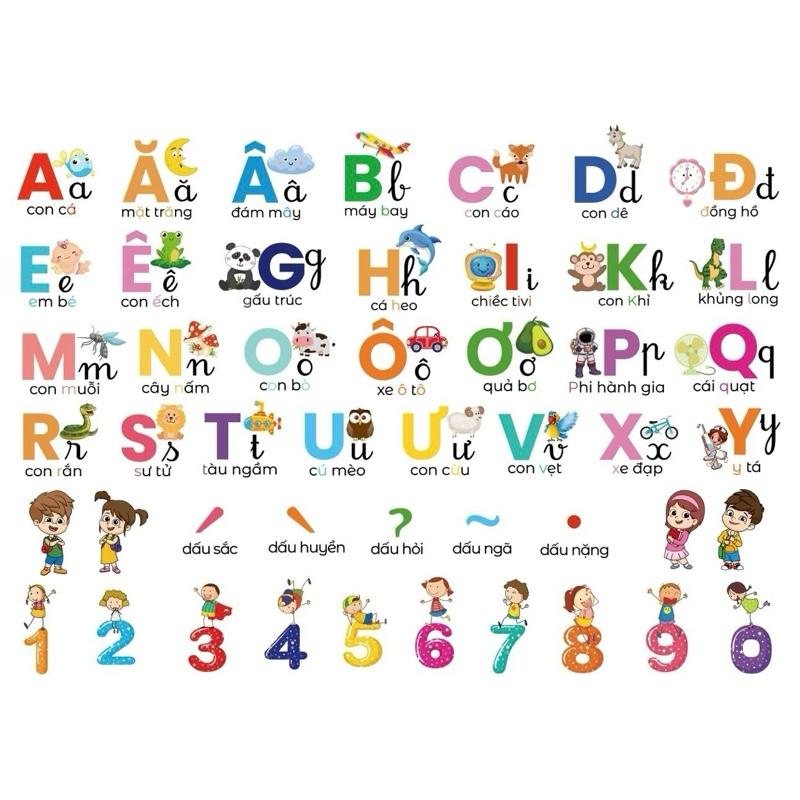 Decal Bảng Chữ Cái Tiếng Việt cho bé Kích Thước 60cm x 90cm Chất Liệu PVC Trong Suốt Cho Bé Decor Phòng